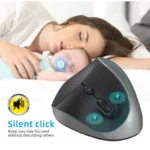 Ergonomic Vertical Wireless Mouse for PC  Laptop | PricZone