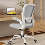 Adjustable ErgoMesh Chair Lumbar Support  Comfort | PricZone