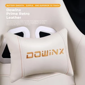 Dowinx Gaming Chair Massage  Vintage Style 6 | PricZone
