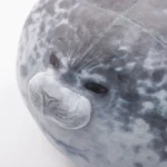 Seal Hug Pillow Round Cushion for HomeOffice 5 | PricZone Seal Hug Pillow Round Cushion for HomeOffice 5 | PricZone