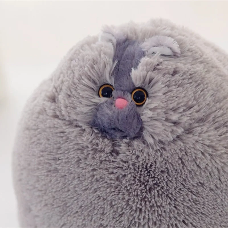 Cute Persian Cat Plush Toy Soft Pillow Gift 5 | PricZone Cute Persian Cat Plush Toy Soft Pillow Gift 5 | PricZone