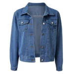 Korean Denim Jacket   Y2K Style 4 | PricZone