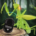 Infrared RC Mantis   Fun Trick Toy Gift 3 | PricZone