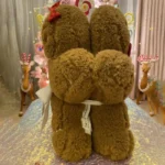 Xmas Gingerbread Plush Pillow   Cute  Cozy 2 | PricZone