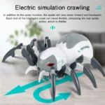 Fun RC Spray Spider   Light  Music Toy 4 | PricZone