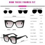 Cat Eye Womens Sunglasses   Designer Shades 6 | PricZone