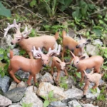 Forest Animal Figurines Set   Miniature Toy Ornaments 2 | PricZone