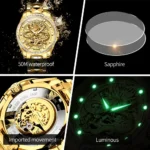 Luxury Golden Dragon Mens Watch   OUPINKE 3276 Automatic 5 | PricZone