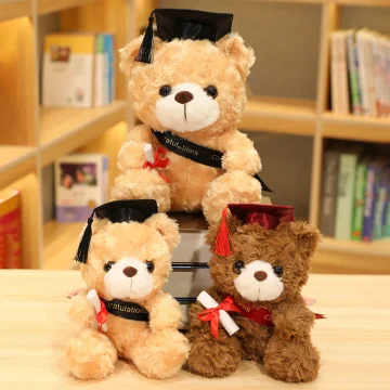 28cm Dr Plush Kawaii Bear Doll   Graduation Gift for Kids 2 | PricZone