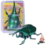 Realistic Mini Insect Wind Up Toys Beetles Bees Crickets 5 | PricZone