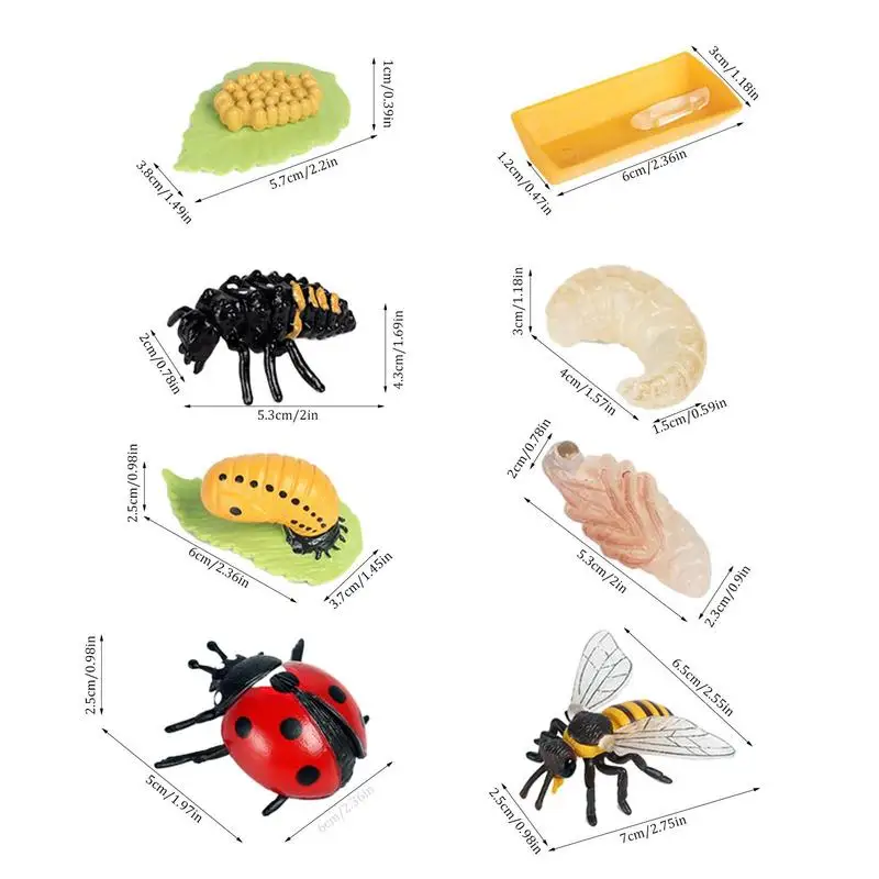 8Piece Ladybug Life Cycle Learning Kit 6 | PricZone 8 Piece Ladybug Life Cycle Learning Kit 6 | PricZone