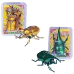 Realistic Mini Insect Wind Up Toys Beetles Bees Crickets 4 | PricZone