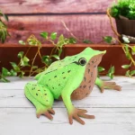 Realistic Frog Action Figure   Bath and Education Toy 5 | PricZone
