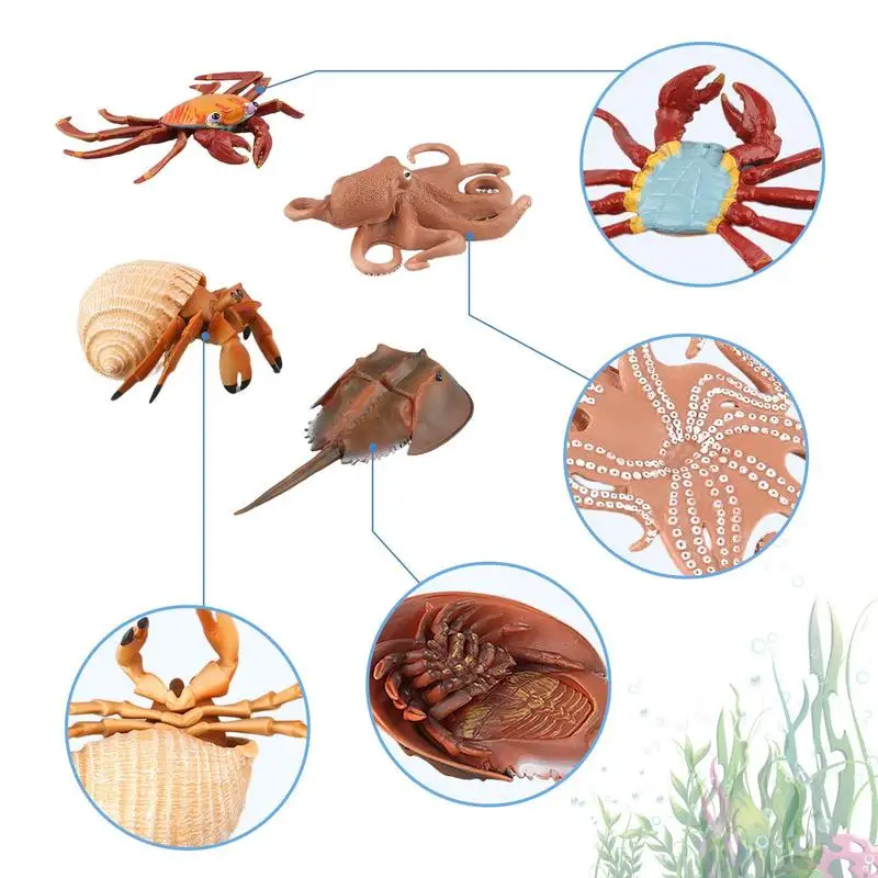 Ocean Animals Figures Assorted Realistic Sea Animal Toys Featuring Crabs Sea Turtles Hermit Crabs Octopus Ray Chinese Horseshoe 2 | PricZone Ocean Animals Figures Assorted Realistic Sea Animal Toys Featuring Crabs Sea Turtles Hermit Crabs Octopus Ray Chinese Horseshoe 2 | PricZone