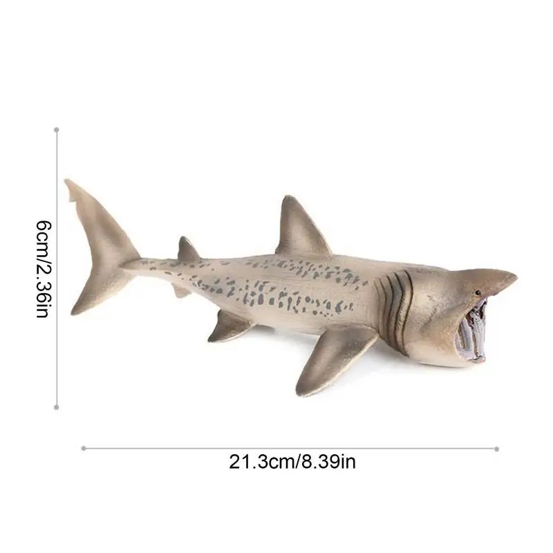 Giant Megalodon Shark Model Action Figure Toy 6 | PricZone Giant Megalodon Shark Model Action Figure Toy 6 | PricZone