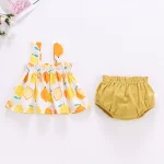 Cute Newborn Girls Summer Dress  Shorts Set 3 | PricZone