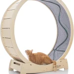 Cat Exercise Wheel   Running Spinning Scratching Climbing 1 | PricZone