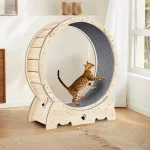 Indoor Cat Exercise Wheel   Carpeted Running Treadmill 2 | PricZone