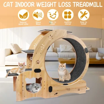 6in1 Cat Exercise Wheel Silent Cat Treadmill 2 | PricZone 6 in 1 Cat Exercise Wheel Silent Cat Treadmill 2 | PricZone
