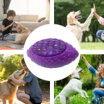 Interactive Rubber Dog Toy Ball   Flashing Chew Ball 4 | PricZone