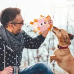 Interactive Plush Dog Football with Bell   Bite Resistant Toy 3 | PricZone