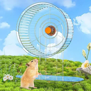 Hedgehog Hamster Exercise Wheel for Small Pets 1 | PricZone Hedgehog Hamster Exercise Wheel for Small Pets 1 | PricZone