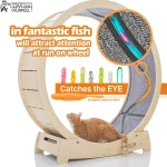 Cat Exercise Wheel   Running Spinning Scratching Climbing 2 | PricZone
