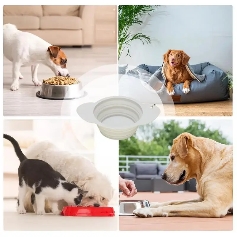 Collapsible Silicone Dog Bowl 600ml Portable Dish 5 | PricZone Collapsible Silicone Dog Bowl 600ml Portable Dish 5 | PricZone