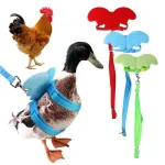 Adjustable Angel Wings Harness and Leash for Cats  Ducks 1 | PricZone