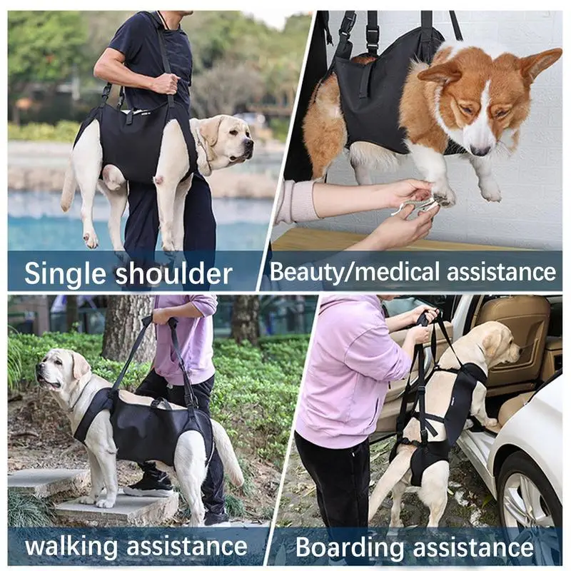 Adjustable Pet Support Harness with Thicken Handle 5 | PricZone Adjustable Pet Support Harness with Thicken Handle 5 | PricZone