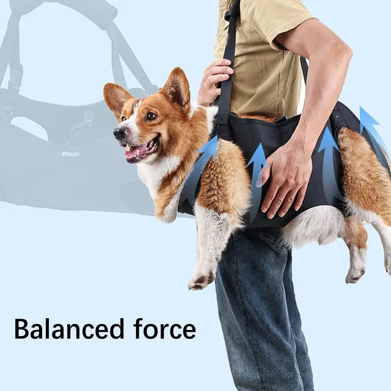 Dog Support Harness for Mobility with Adjustable Strap 5 | PricZone Dog Support Harness for Mobility with Adjustable Strap 5 | PricZone