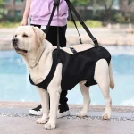 Dog Support Harness for Mobility with Adjustable Strap 2 | PricZone Dog Support Harness for Mobility with Adjustable Strap 2 | PricZone