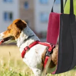 Dog Sling Hip Support Harness for Back Legs Mobility 4 | PricZone Dog Sling Hip Support Harness for Back Legs Mobility 4 | PricZone