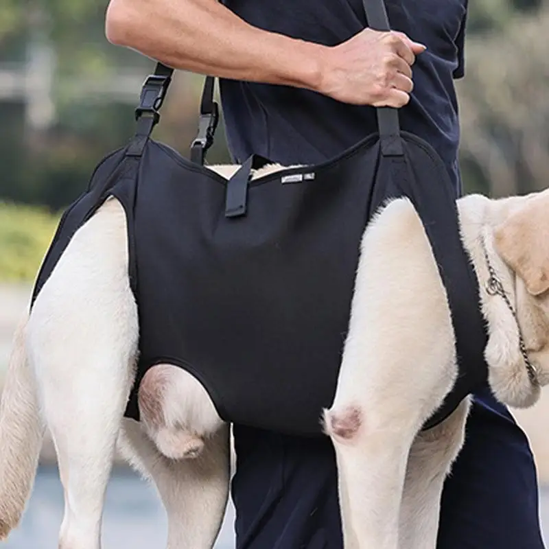 Adjustable Pet Support Harness with Thicken Handle 3 | PricZone Adjustable Pet Support Harness with Thicken Handle 3 | PricZone