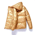 Winter Shiny Hooded Puffer Jacket   Warm  Stylish 1 | PricZone