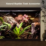 Extra Large Driftwood for Aquarium  Reptile Tank 2 | PricZone