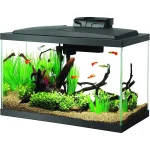 10Gallon Aqueon Aquarium Starter Kit with LED 1 | PricZone 10 Gallon Aqueon Aquarium Starter Kit with LED 1 | PricZone
