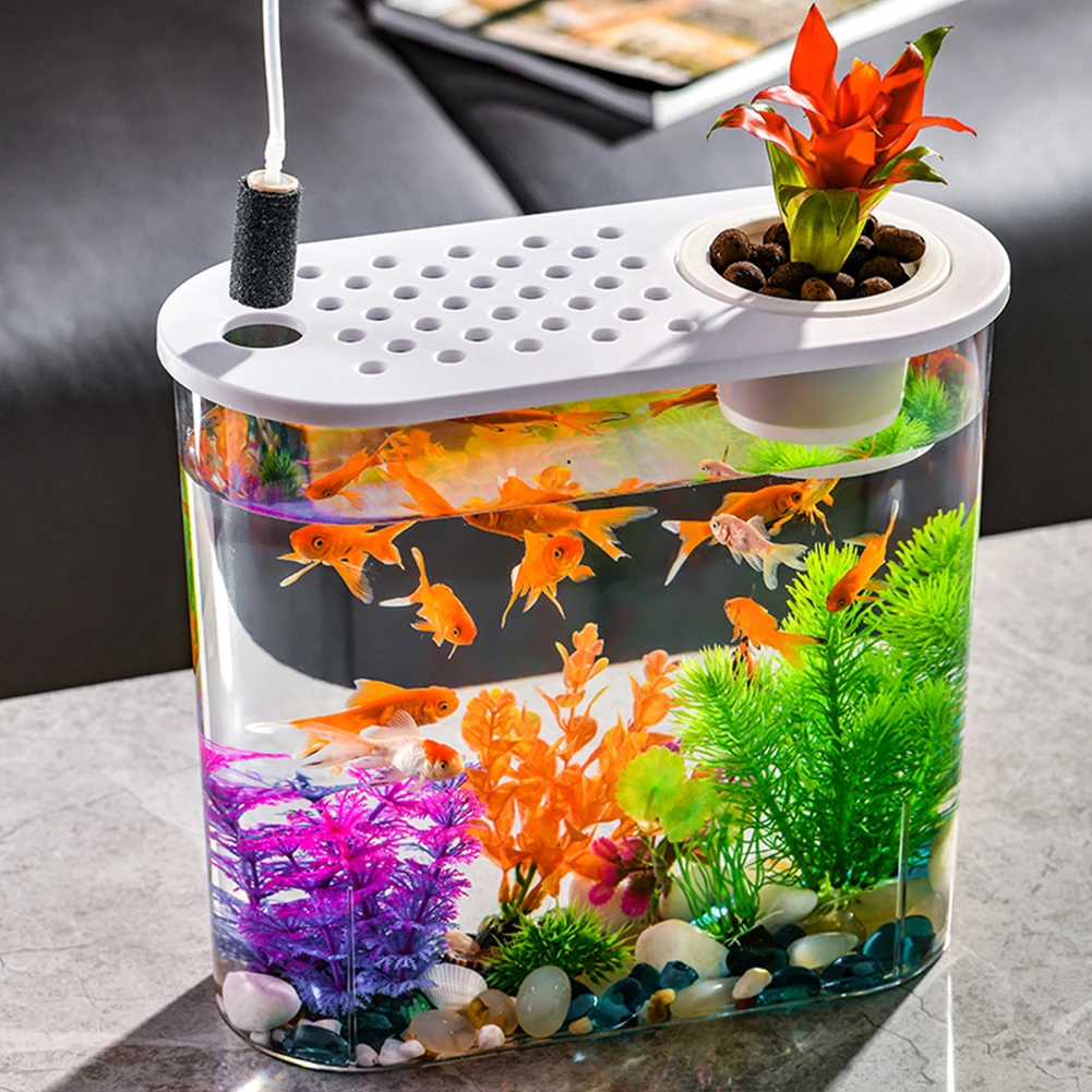 Clear Plastic Fish Bowl Planter for Home Decor 2 | PricZone Clear Plastic Fish Bowl Planter for Home Decor 2 | PricZone