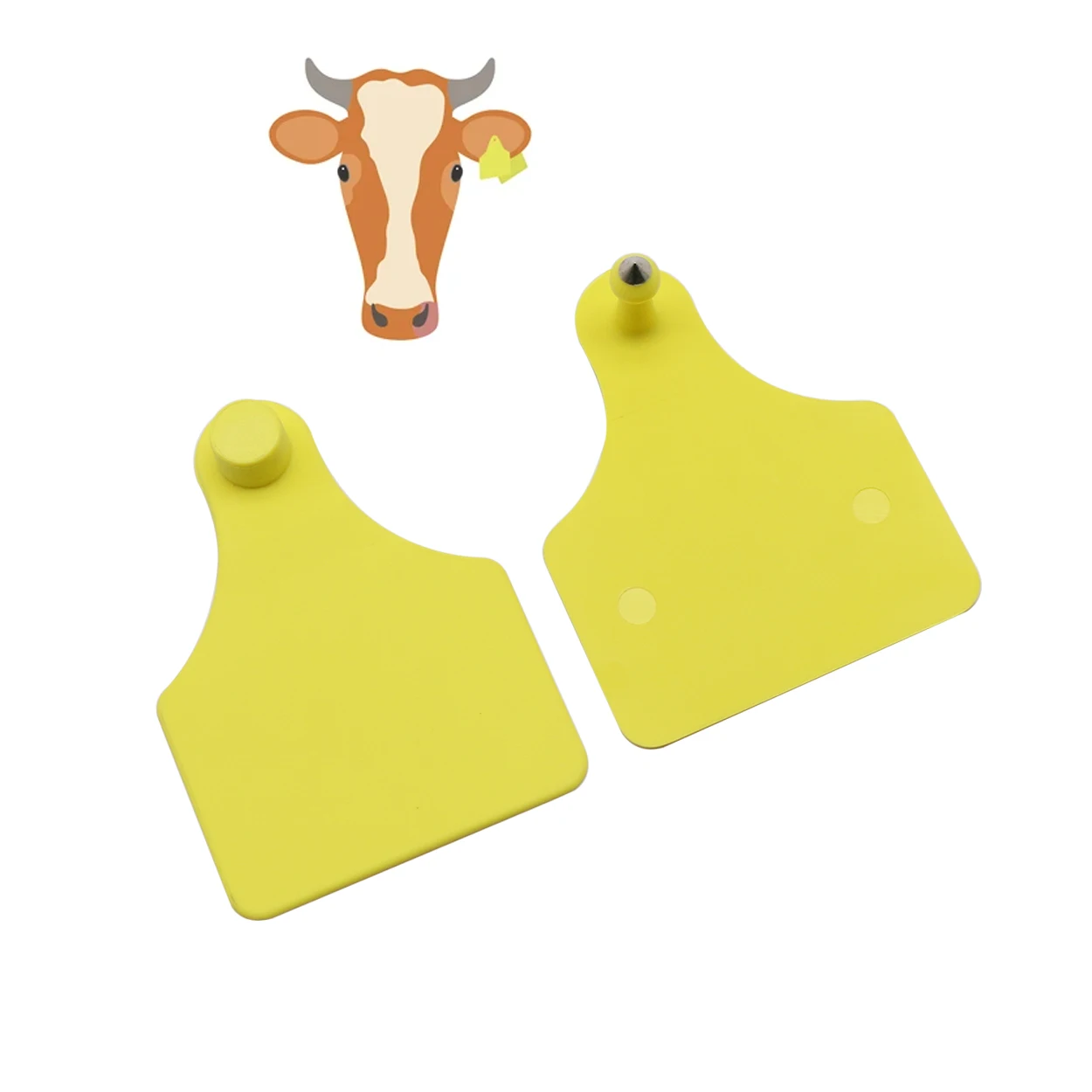 5 Pcs TPU DoubleSided Blank Cattle Ear Tags 1 | PricZone 5 Pcs TPU Double Sided Blank Cattle Ear Tags 1 | PricZone