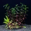 Artificial Aquarium Plants – Plastic Aquatic Decor