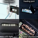 Glass Fish Tank Starter Kit 435 Gallon Betta Desktop Aquarium Mini Bowl Shrimp with LED Pump Oxygen Pump Air Intake Water 5 | PricZone