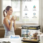 2 Gallon Glass Fish Bowl Vase with Wooden Base 2 | PricZone