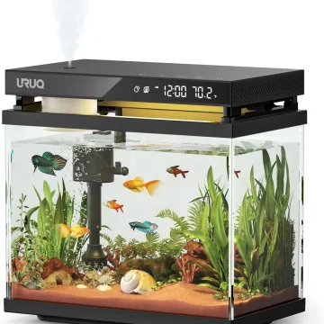 2 Gallon Glass Fish Bowl Vase with Wooden Base 1 | PricZone