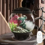 Mini Aquarium Modern Compact Water Tank for Desktop or Desktop Display Fish Tank Grey Fish Aquatic Pet Supplies 1 | PricZone