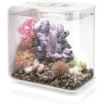 Modern Acrylic Fish Tank with LED Light 6 | PricZone