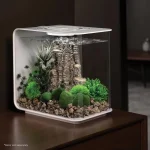 Modern Acrylic Fish Tank with LED Light 1 | PricZone
