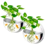 Clear Wall Mounted 1 Gallon Fish Tank Set 1 | PricZone