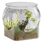 Clear Fish Tank Bowl Small Aquarium Vase Centerpiece 2 | PricZone Clear Fish Tank Bowl Small Aquarium Vase Centerpiece 2 | PricZone