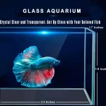 Large Glass Fish Tank Ultra Clear Borderless Aquarium 3 | PricZone Large Glass Fish Tank Ultra Clear Borderless Aquarium 3 | PricZone