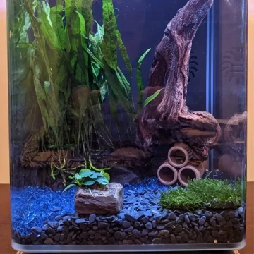 Ceramic Aquarium Fish Shelter Decoration 2 | PricZone